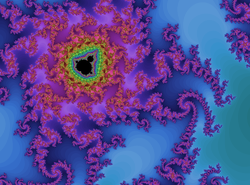 A portion of the Mandelbrot set